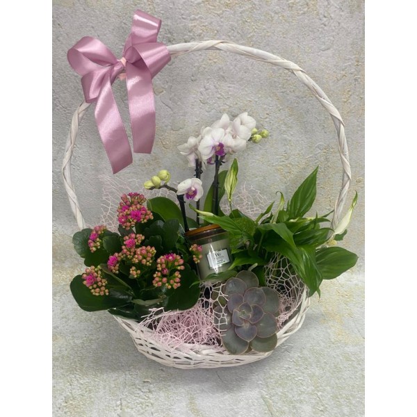 Koszyk z kwiatami okolicznościowymi i świecą Woodwick