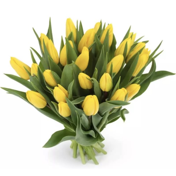 Bukiet Żółtych Tulipanów